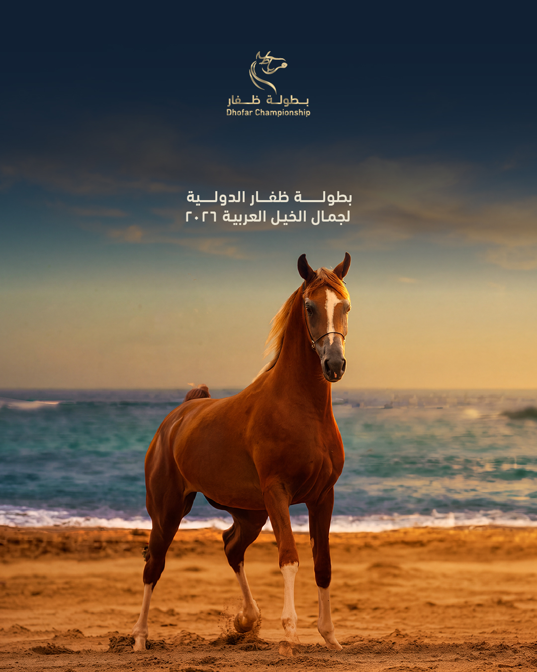 Dhofar Arabian Horse Beauty Championship 2026
