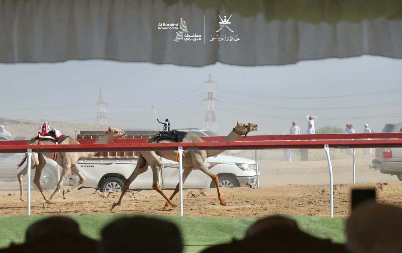 Camel Racing Event in Al Sinainah Wilayat
