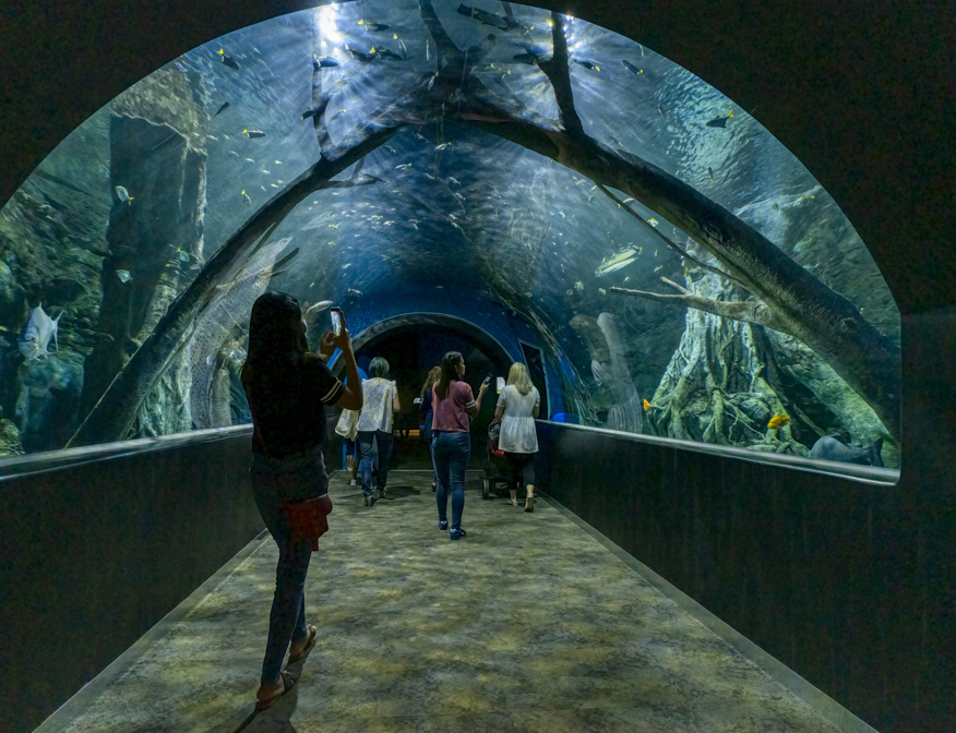Muscat Mall Aquarium 25