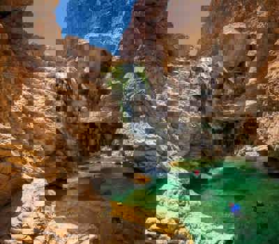 Оазис Аль-Айн