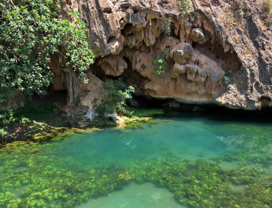 Dhofar Springs In Ain Sahalnout Salalah Oman