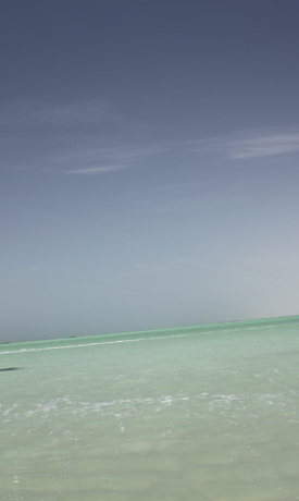 Виндсёрфинг