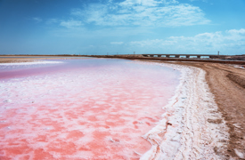 Pink Beach Rak Ras Ar Ruways Beach