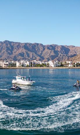 Водные виды спорта