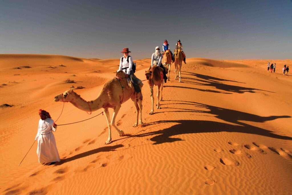 Camel riding Camel Trekking in Oman