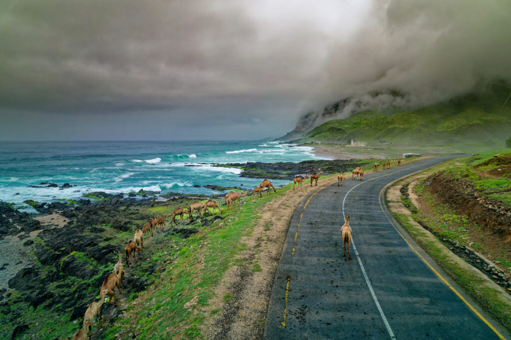 DJI 0447 DNG DxO DeepPRIME 2DxO