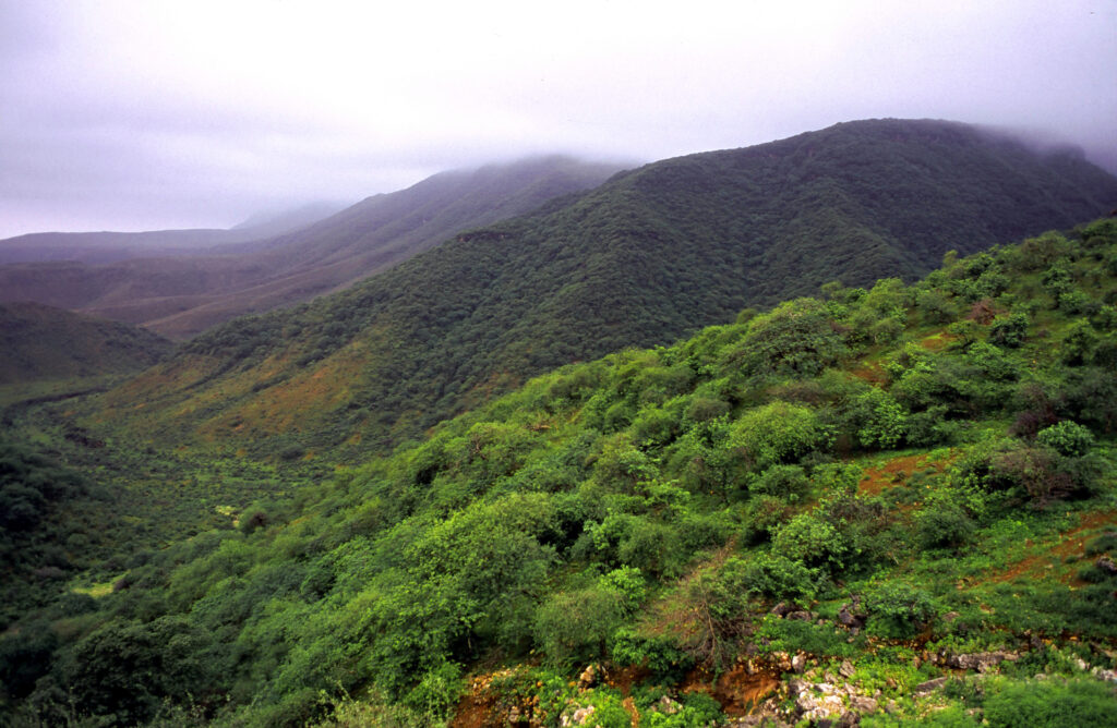 View of the Beautiful green mountains in the mist, Salalah, Dhofar, Oman